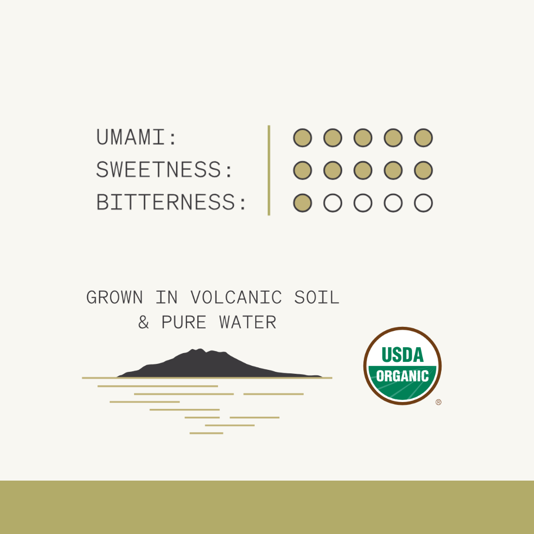 Luna Matcha - UMAMI BURST ( 旨 )