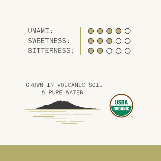 Luna Matcha - Premium Daily Matcha ( 雅 )