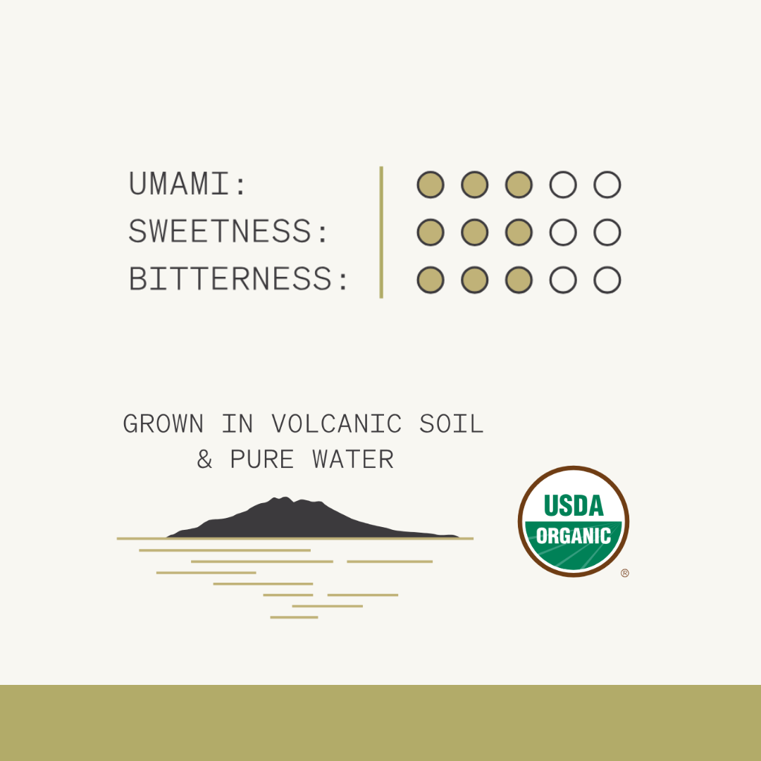 Luna Matcha Starter Kit, Symphony Matcha & Guren Bowl