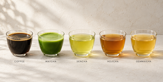 Matcha vs. Coffee & Japanese Tea: Caffeine Compared