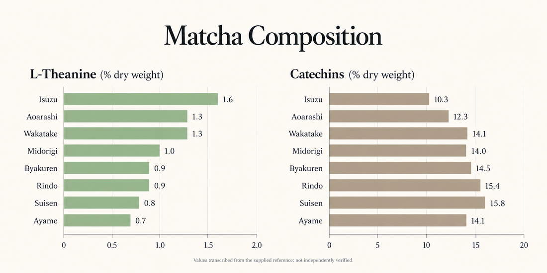 Why Matcha Tastes Umami or Bitter: Theanine and Catechins Explained